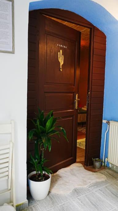 Sahara Studio With Shared Bathroom In City Centre Bratislava Exteriér fotografie